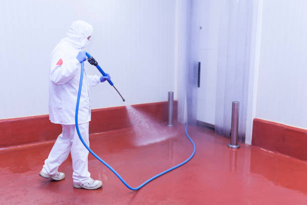Best Restaurant Pressure Washing  in Redwood Falls, MN