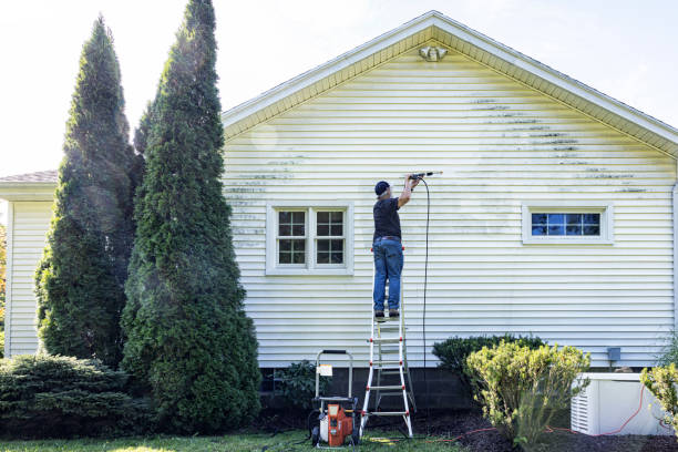 Best Driveway Pressure Washing  in Redwood Falls, MN